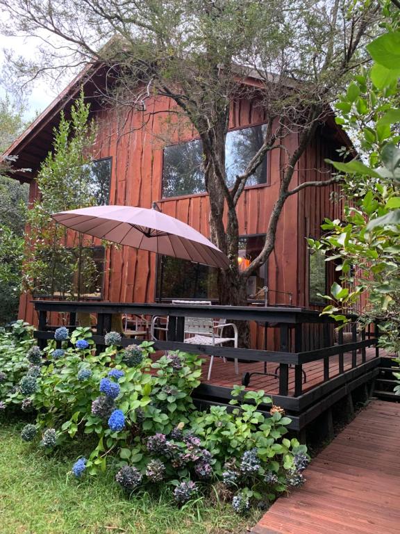 cabanas-natural-park-pucon