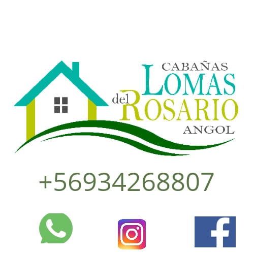 307691741_546324967447941_3960022533502098225_n