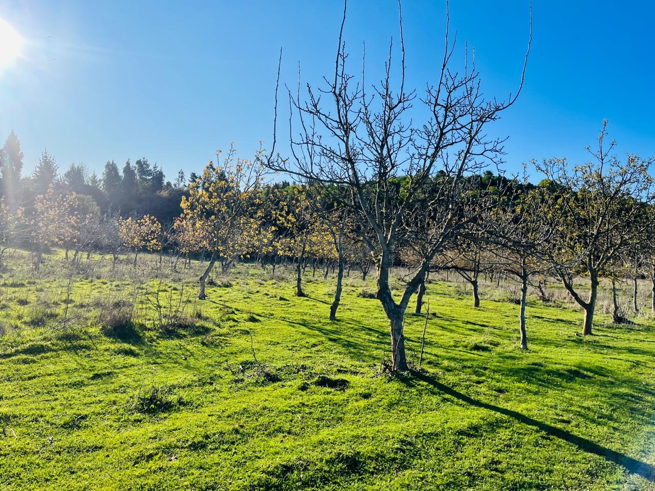 Imagen de WhatsApp 2025-08-06 a las 10.20.16_9b18398f