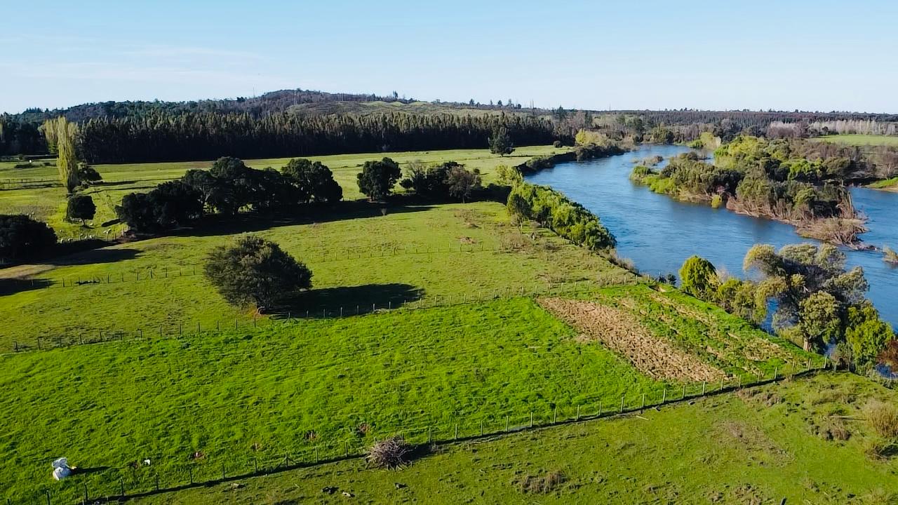 Imagen de WhatsApp 2025-08-06 a las 10.20.17_4116948e