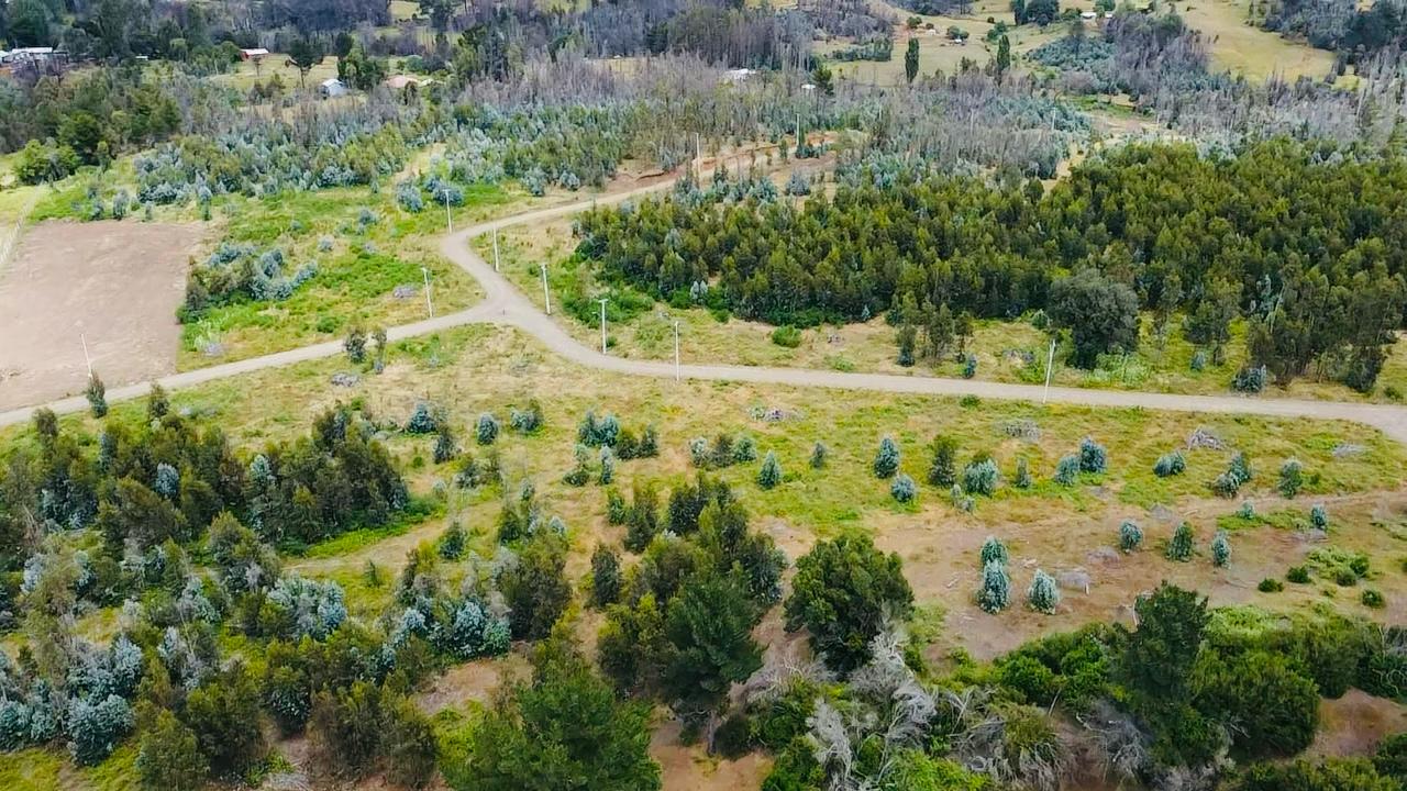 Imagen de WhatsApp 2025-08-06 a las 10.20.17_b7bb4574