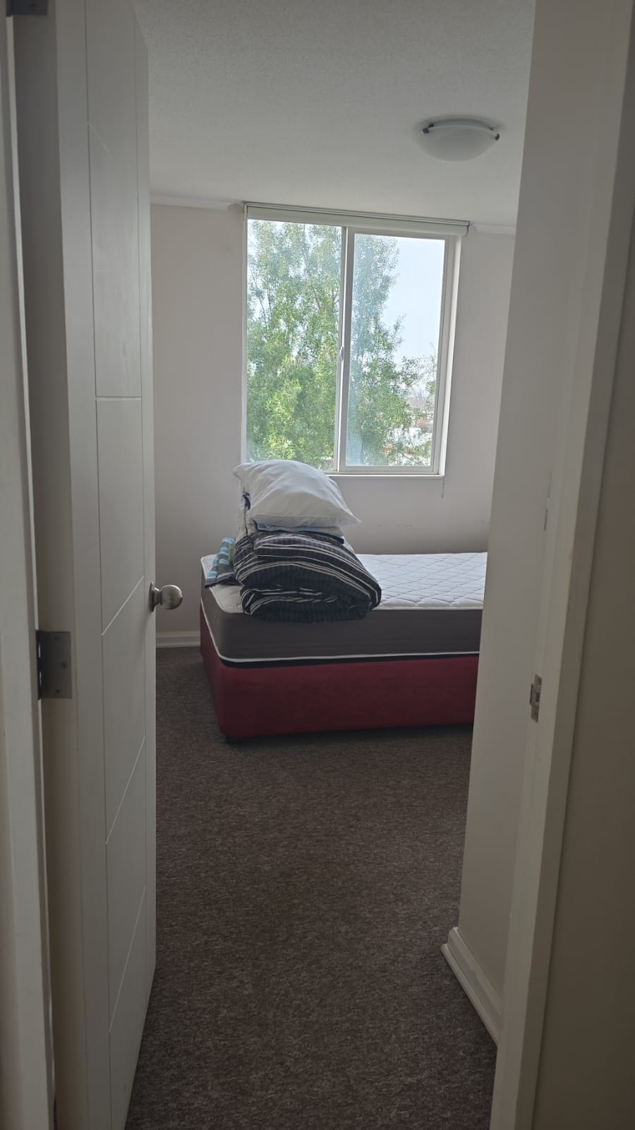 Imagen de WhatsApp 2025-08-09 a las 09.07.14_d65c34da